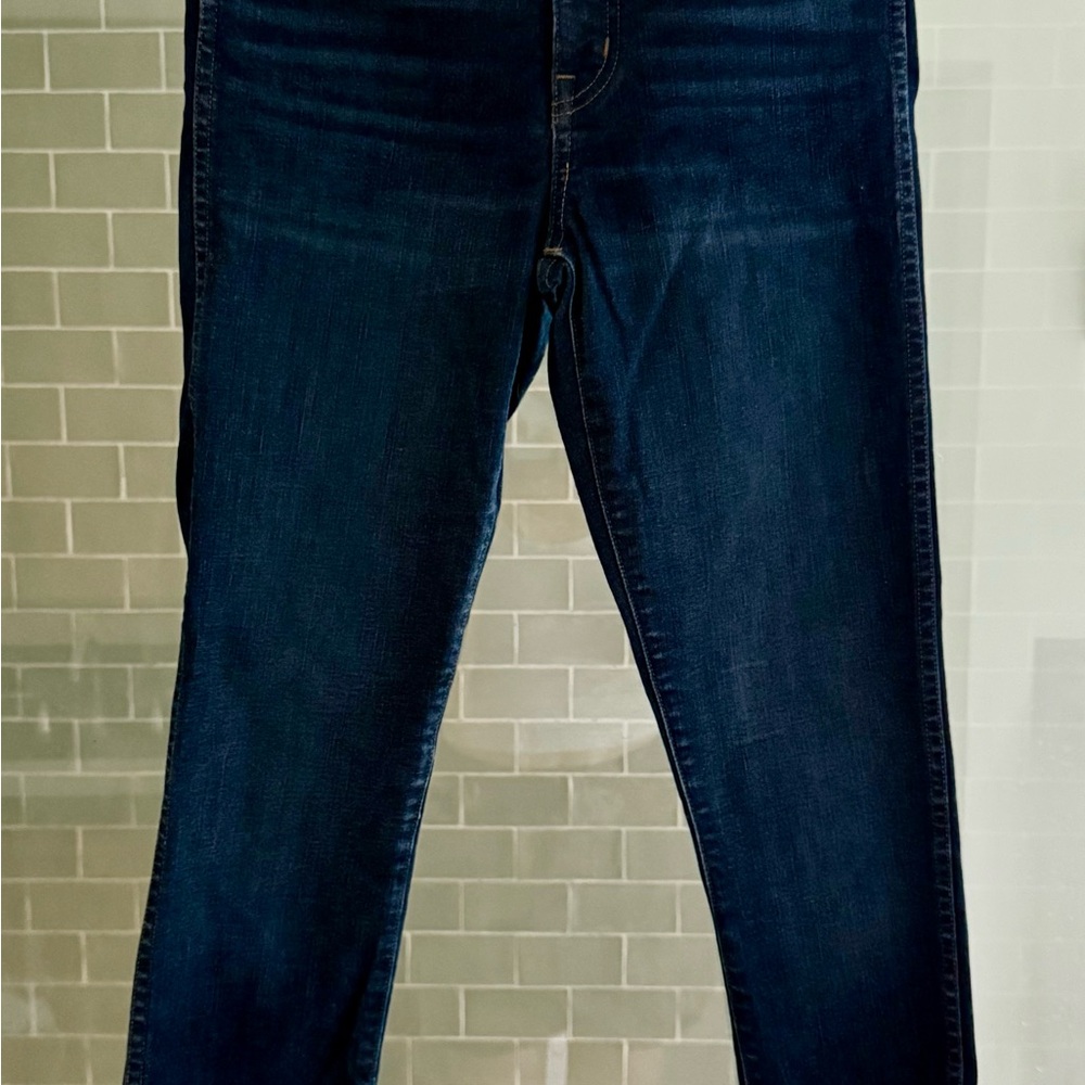 Madewell Women's 10” High Rise Skinny Jeans in Dark Blue Wash